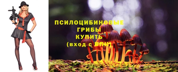 герыч Россошь